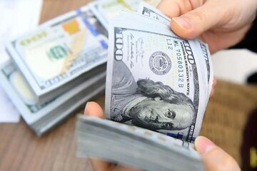 چرا دولت در برابر بالا رفتن دلار کاری نمی کند؟!