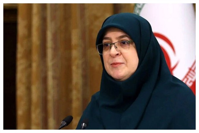 توضیحات سخنگوی دولت درباره سفر دختر و داماد پزشکیان به قزاقستان/ کالابرگ سه دهک به 620 هزار تومان افزایش یافته است