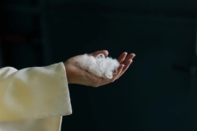 هوش مصنوعی پرهای مرغ را به پارچه کشمیر تبدیل می‌کند