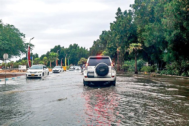 فرصت طلایی برداشت باران