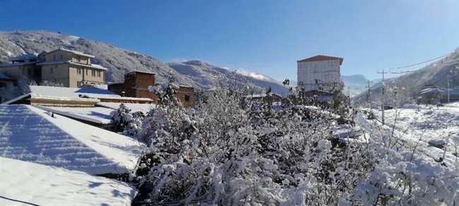 هشدار درباره یخ‌زدگی کنتورهای آب/ آب و فاضلاب اطلاعیه داد