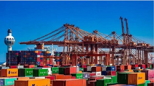 رمزگشایی از ۱۰۰۰ صادرکننده فراری/ وقتی کارتن خواب&zwnj;ها صادرکننده می&zwnj;شوند