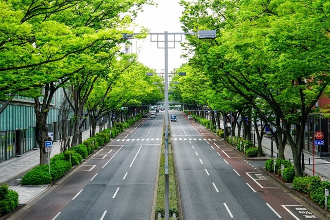 چرا در خیابان‌های ژاپن سطل زباله پیدا نمی‌کنید؟
