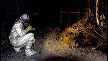 ترس از شروع دوباره بحران اتمی / آیا «پای فیل» به جهان ما باز می‌گردد؟ (فیلم)