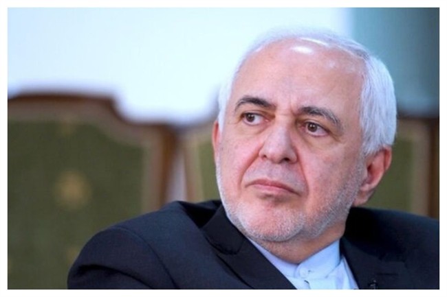 توضیحات ظریف درباره گرین کارت خود و فرزندانش+ فیلم