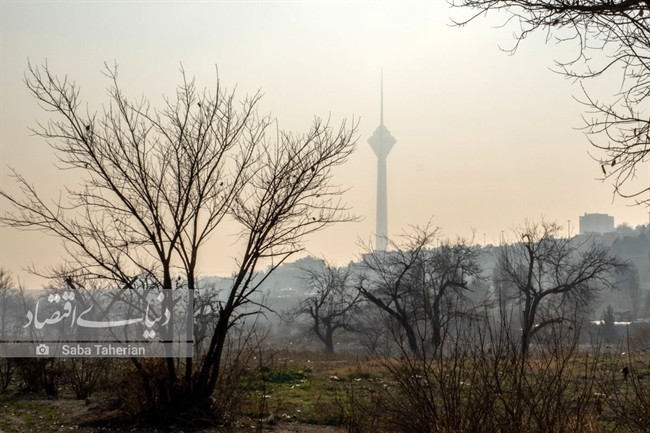 هوای تهران نمره قبولی نگرفت/ ناسالم برای این گروه‌ها