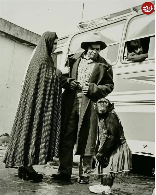 filmfarsiofficial_1559970452_2061504032876063201_3230002639