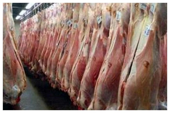 کاهش قابل توجه تولید شیر و گوشت/ علت چیست؟