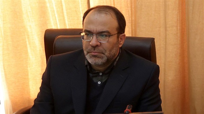 راهکار کنترل نوسانات ارزی از زبان نایب رئیس کمیسیون اقتصادی مجلس/ ارز باید به صورت حداکثری وارد کشور شود