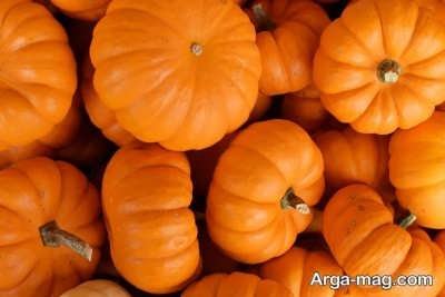 راز تشخیص کدو حلوایی شیرین و آبدار در بازار