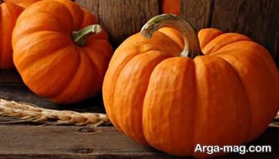 ساقه دار بودن کدو و شیرین بودنش