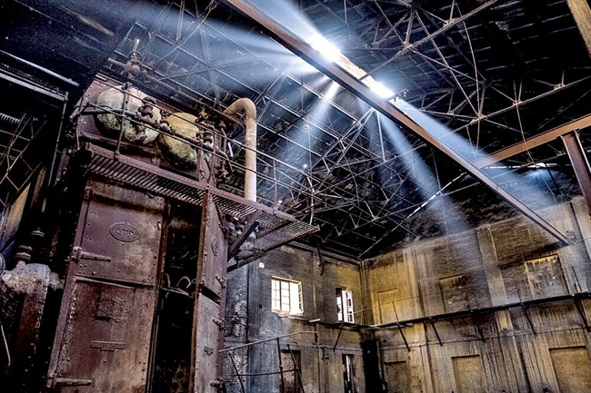 سودآوری؛ قربانی دخالت دولت