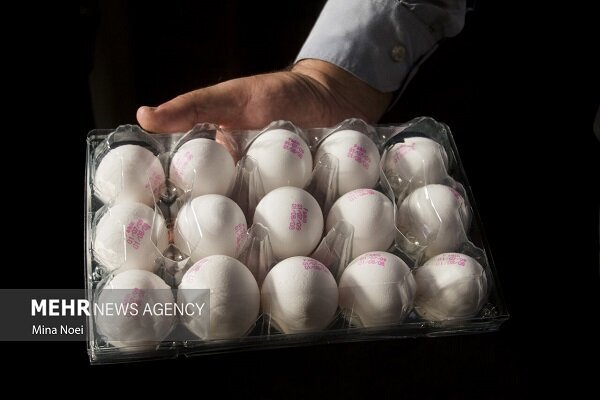 پیش&zwnj;بینی قیمت تخم&zwnj;مرغ امروز 16 دی ماه