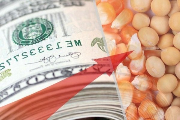 بازی &laquo;پلیس خوب، پلیس بد&raquo; با سفره مردم / فردا مرغ را با چه قیمتی می فروشید؟