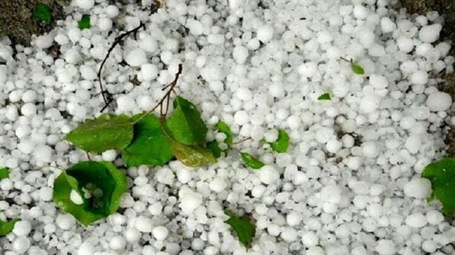 این پدیده هواشناسی در بندرعباس شروع شد