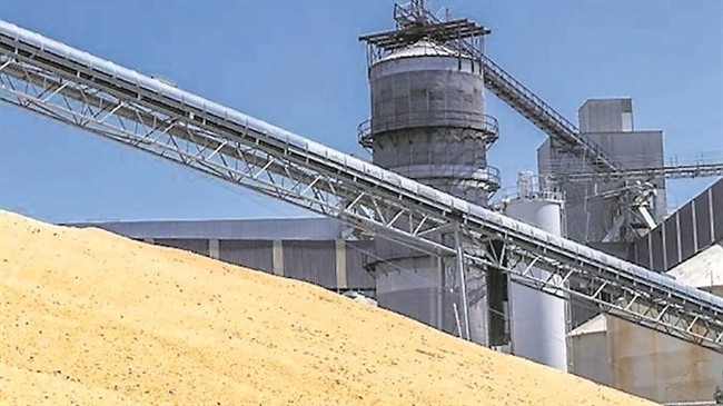 تاثیر سرما بر بازار غلات