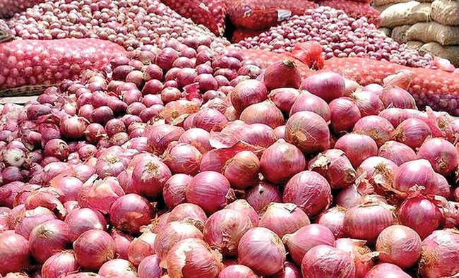 تسهیل صادرات پیاز