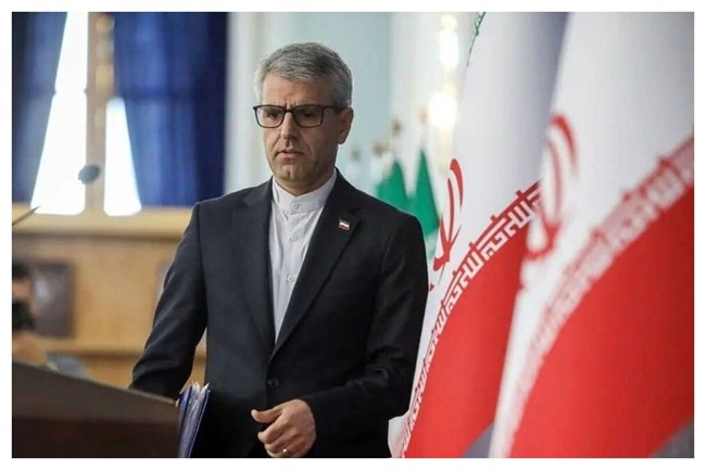 بقائی: خلیج فارس بخشی از هویت و تاریخ تمدنی ایران است/ ایران همواره برای تقویت صلح در منطقه تلاش کرده است