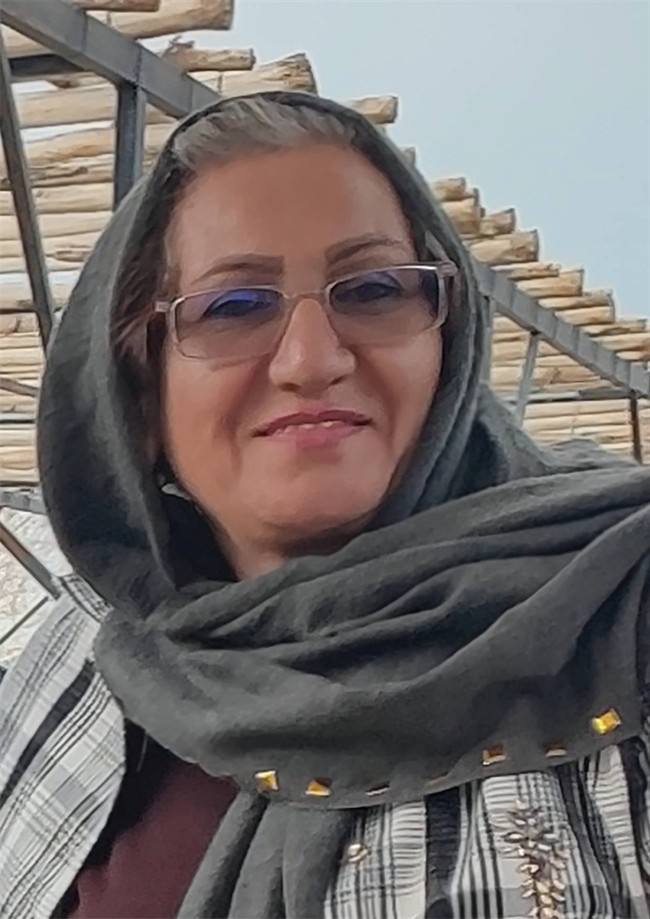 شبی در محله نارمک که زمان برای خانوادهای ایستاد/ مهماندار هواپیمایی که توسط اسرائیل شهید شد!