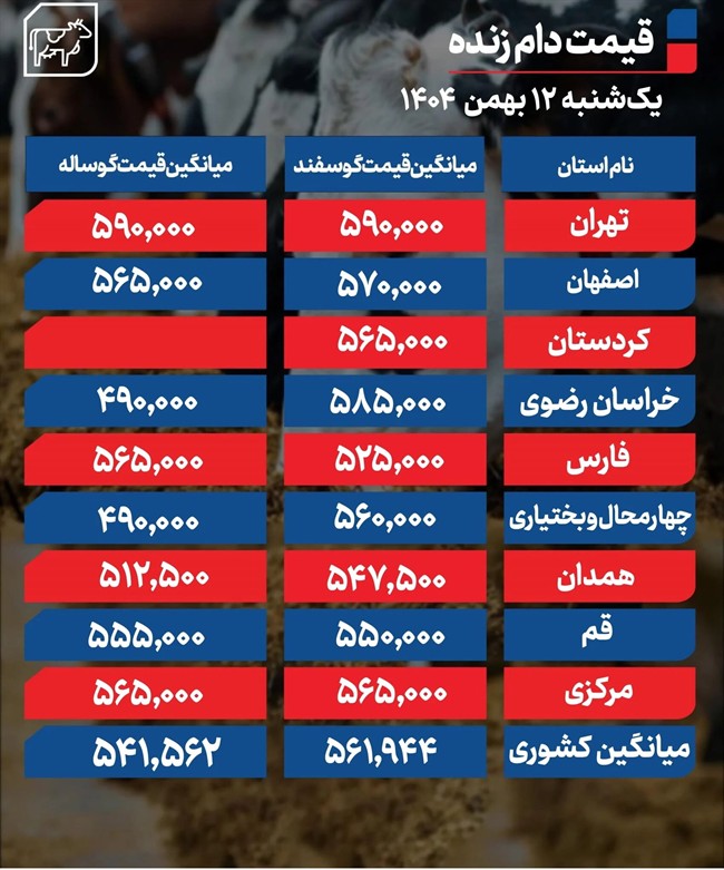 قیمت دام زنده امروز 12 بهمن 1404