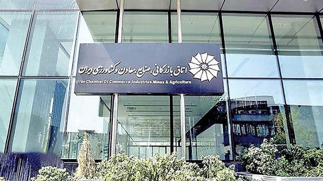 بار دولت بر دوش بخش‌خصوصی