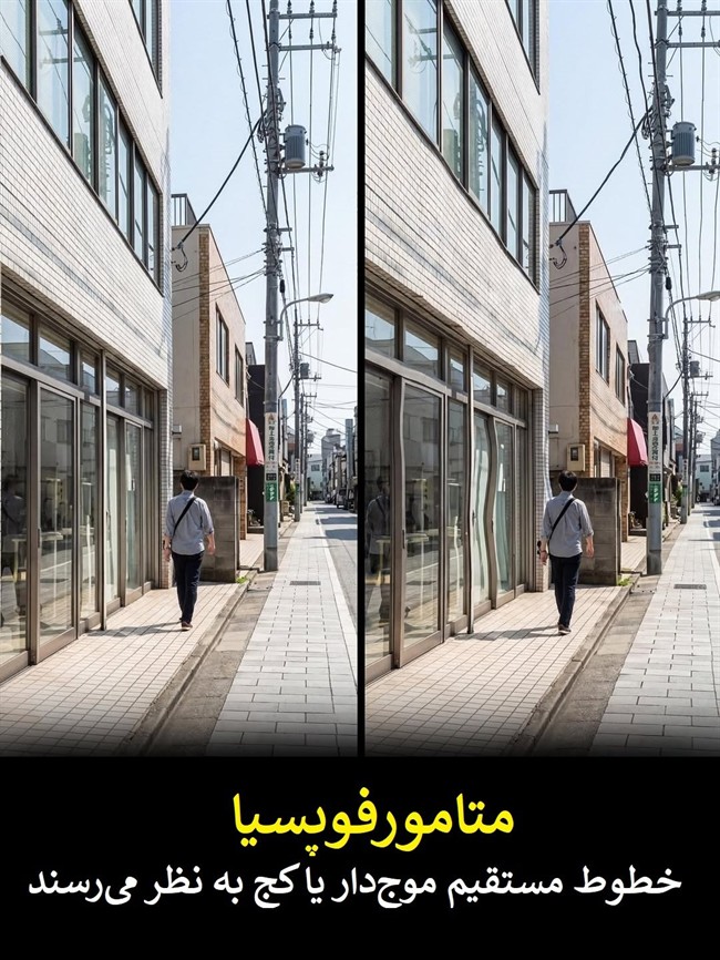 تفاوت های بینایی: چرا ما جهان را یکسان نمی بینیم؟