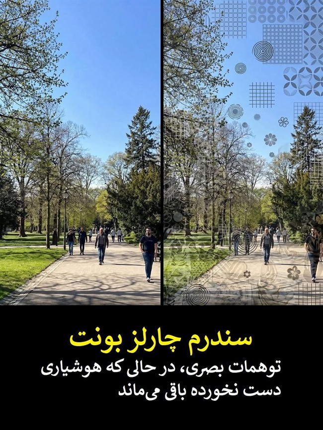 تفاوت های بینایی: چرا ما جهان را یکسان نمی بینیم؟