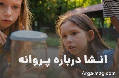 انشا درباره پروانه با مفاهیم ناب