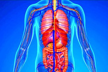 این 5 نشانه در بدن  علامت خطر است