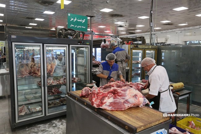 آماده&zwnj;باش گوشت قرمز برای کاهش قیمت ؛ گوشت ارزان می شود؟