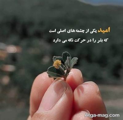 متن ناب درباره امید