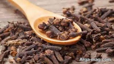 تعبیر خواب میخک