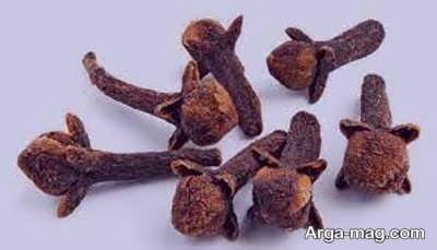 تعبیر رویای میخک