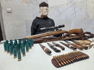 کاهش قیمت گوشت با تدبیر نظارتی عارف/ اصلاح‌طلبی که تهمت "توجیه کشتار" را پذیرفت ولی آشوبگری نکرد