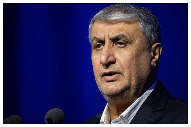 اسلامی: آمریکا از همه توطئه ها استفاده کرد که ایران به فناوری هسته ای دست نیابد/ در بحث سلامت و امنیت غذایی گام های گسترده ای برداشته ایم