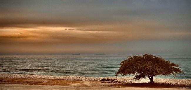 توضیخاتی درباره لرزه‌های پیاپی در عسلویه/ انفجارهای نظامی یا تست‌های موشکی اتفاق افتاده است؟