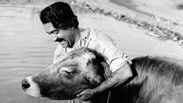 چند دقیقه از سینمای ناب داریوش مهرجویی (تماشا کنید)