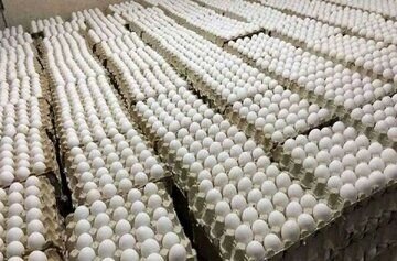 انتقاد روزنامه اصولگرا از ارزان شدن قیمت تخم مرغ/ جای خوشحالی ندارد/ یک ماه آینده نتایجش مشخص می شود!