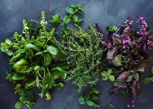 سبزیجاتی که بیشترین خواص را برای سلامتی دارند