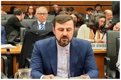 غریب آبادی: ایران به دنبال دریافت غرامت جنگ تحمیلی است+ فیلم