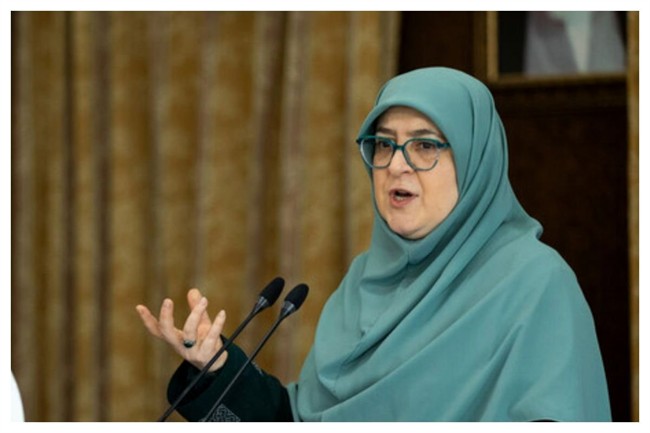 مهاجرانی: تهیه برنامه برای شرایط اضطرار در دستور کار دولت قرار گرفت