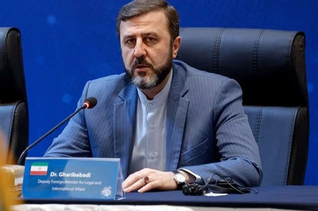 غریب‌آبادی: ایران نه سلاح هسته‌ای در اختیار دارد و نه در پی دستیابی به آن است