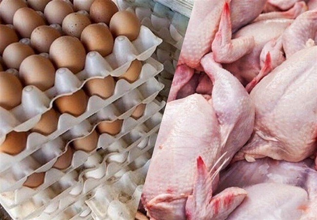 سقوط آزاد مصرف مرغ در بازار!