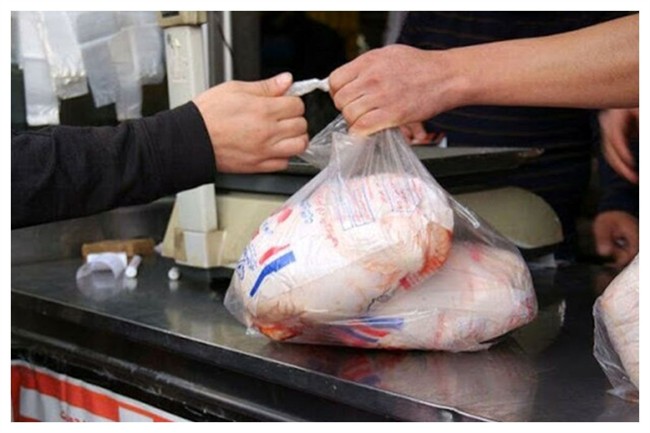 مرغ گران می‌شود؟