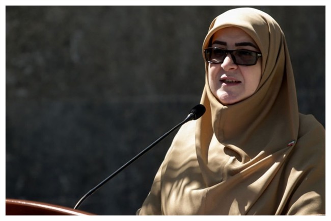 مهاجرانی: مسئولان در سلامت هستند/ کالاهای اساسی، دارو و بنزین تامین است

