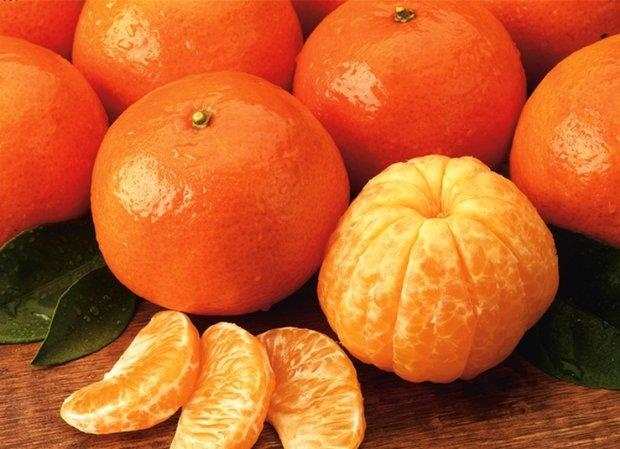 علاج قاچاق نارنگی پاکستانی؛ تدبیر یا تداوم ممنوعیت؟