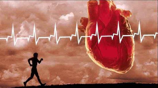 دانستنی هایی درباره «باتری قلب»