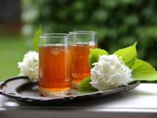 چای کومبوکا؛ نوشیدنی شگفت انگیز (2)