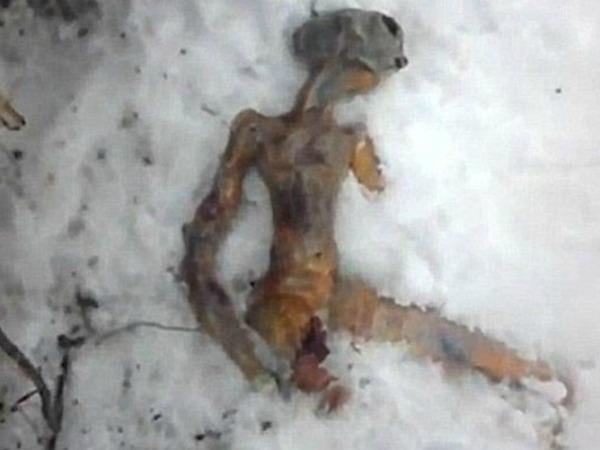 یک بیگانه‌ی یافت شده در برف