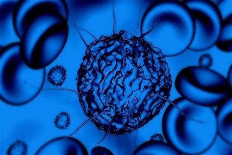 سلول‌ های بنیادی مصنوعی به بازتولید ماهیچه‌ ها بدون خطر ابتلا به سرطان کمک می‌‌کنند